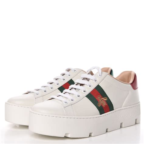 Gucci ace sneakers women's